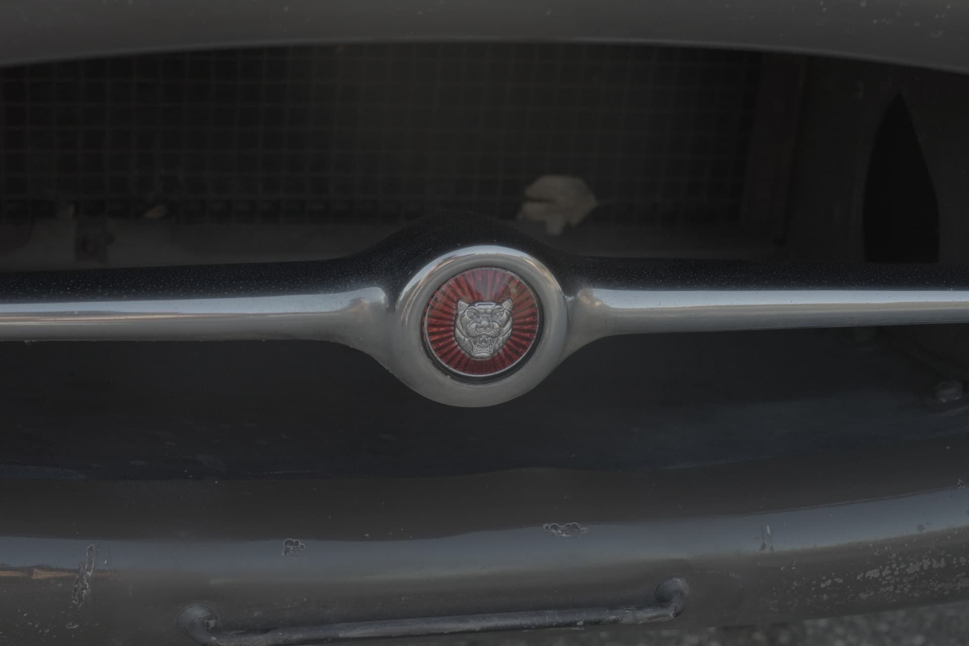 1968 Jaguar E-Type grille badge